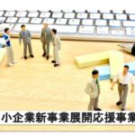 中小企業新事業展開応援事業