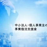 事業復活支援